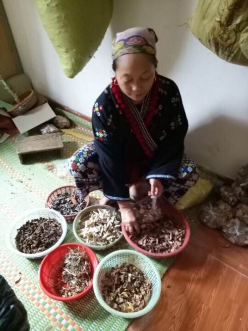 TRIỆU THỊ LIỂU – LƯƠNG Y NỨC TIẾNG CHỮA VÔ SINH NƠI RỪNG NÚI ĐẠI NGÀN